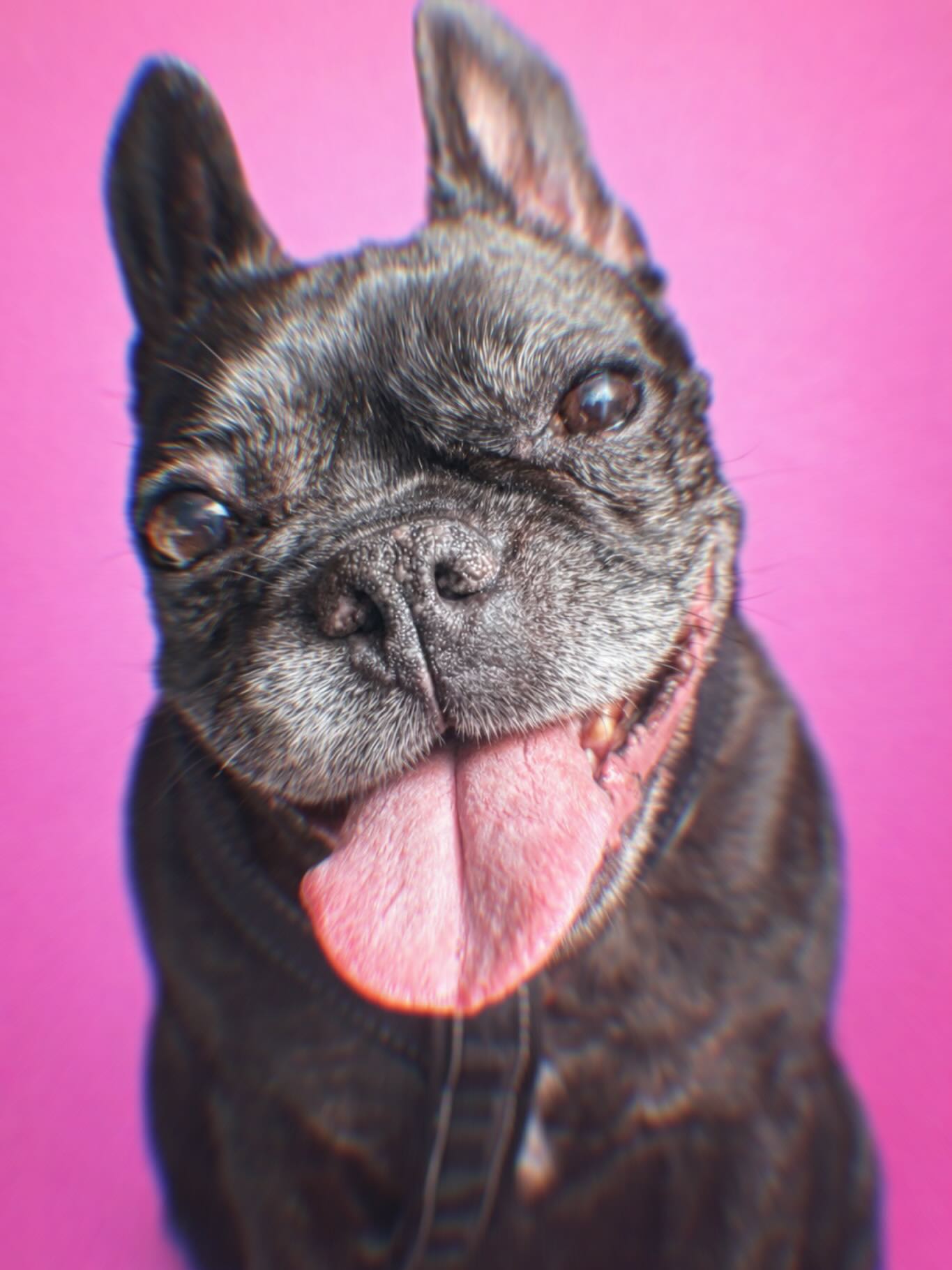 Polly Snorkfröken ❤️❤️❤️