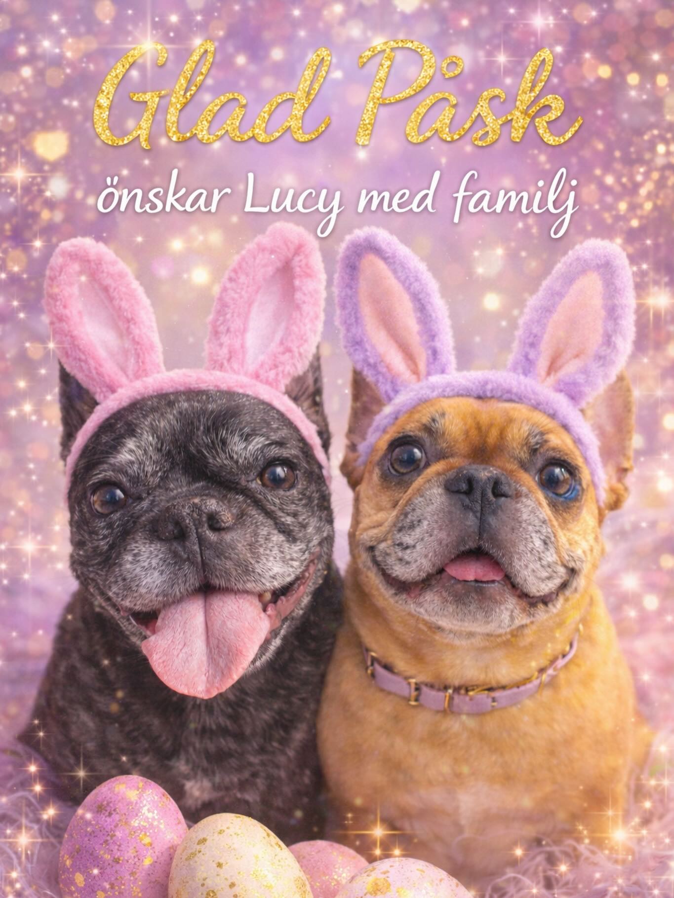 Hej! Önskar alla fina en Glad Påsk! 🐣 

Jag har preppat lite inför imorgon, påskmiddag. Janssons frestelsen är i ugnen och jag har rostat och finhackat hasselnötterna till budapestrullen. Dottern ska få skala massa ägg sen och hon och Offe ska fixa med ägghalvorna. Måste be någon annan vispa äggvitorna till budapestrullen för jag har sån kramp i handen upp i armen. 

Försöker hitta glädje. Men känner mig mest ledsen. Tur dottern livar upp stämningen, min lilla mini-me ❤️🤗🐣

Fryser som fan som vanligt. Har mycket tremors hela tiden. Mådde illa (som vanligt med) igår. Får morgon/förmiddags illamående så jag kastar upp. Mysigt att läsa va? Jättelänge nu. Sjukt jobbigt!! Men sen går det över. Jag har skitsvårt att få i mig frukost då jag vaknar med illamåendet. Tror det är all stress och ångest.

Kan knappt skriva just nu för handen gör sig till en klo pga krampen. Jag önskar mig en matberedare i födelsedagspresent. Men vem bryr sig? 

I dagarna väntas sista kullen sen tar jag ett långt avbrott. Jag måste fokusera på mig själv och hitta glädje o en paus - tyvärr så kan man inte göra det heller. Ta mig inte fel - Jag brinner verkligen för mina svansbarn men jag mår bara så fruktansvärt dåligt psykiskt så nu ska jag bara fokusera på mig, döttrarna och djuren. 

Detta var jobbigt att skriva ens. 

Kram på er alla finisar ❤️