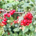 Det kändes bra idag