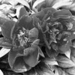 Ibland är det bara så mysigt