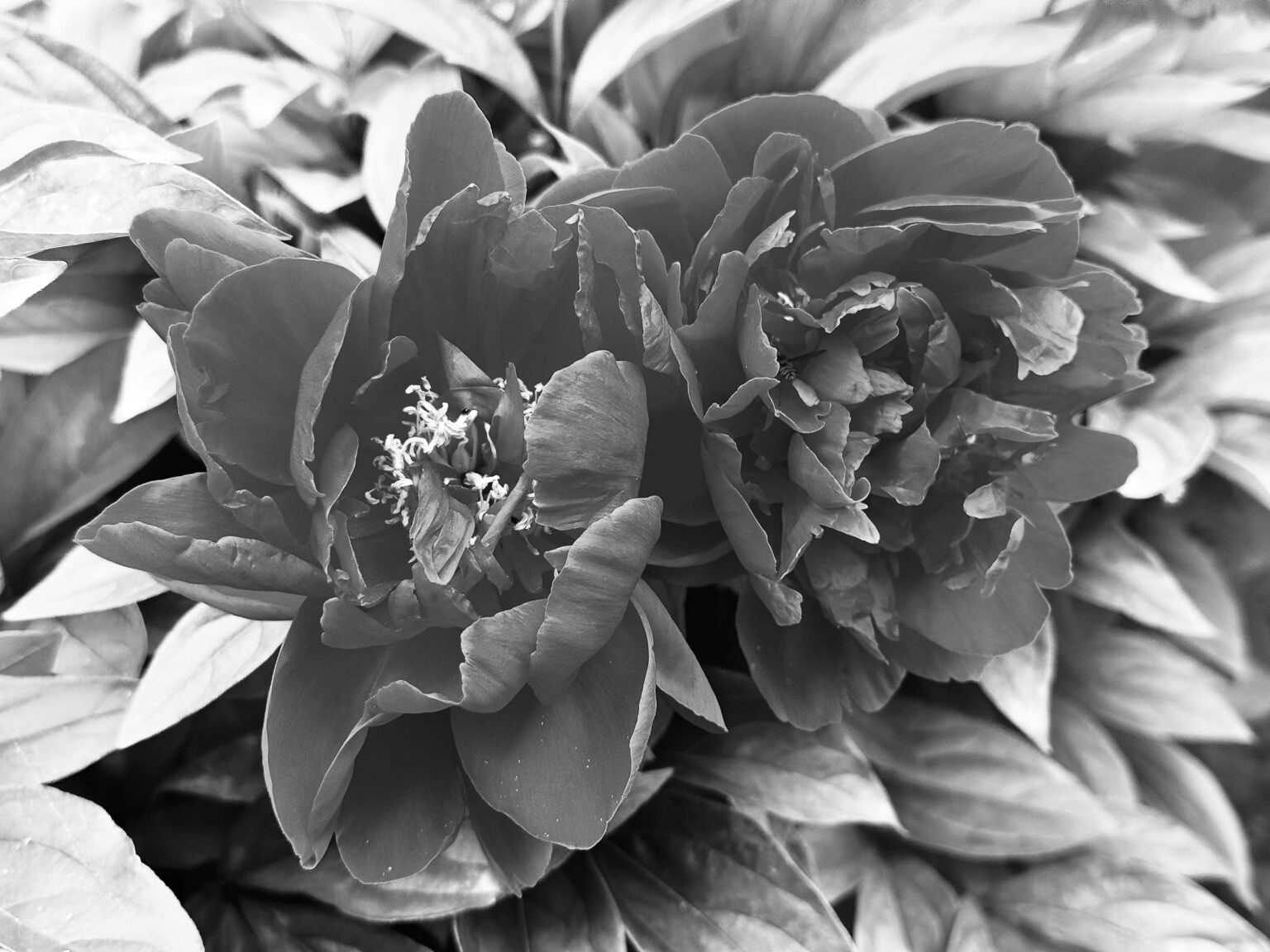 Ibland är det bara så mysigt