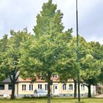 Det var bara att åka hem igen