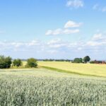 Avslutar veckan med en bild