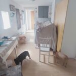 Det vore ju en dröm