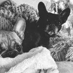 Ny blogg och nya möjligheter