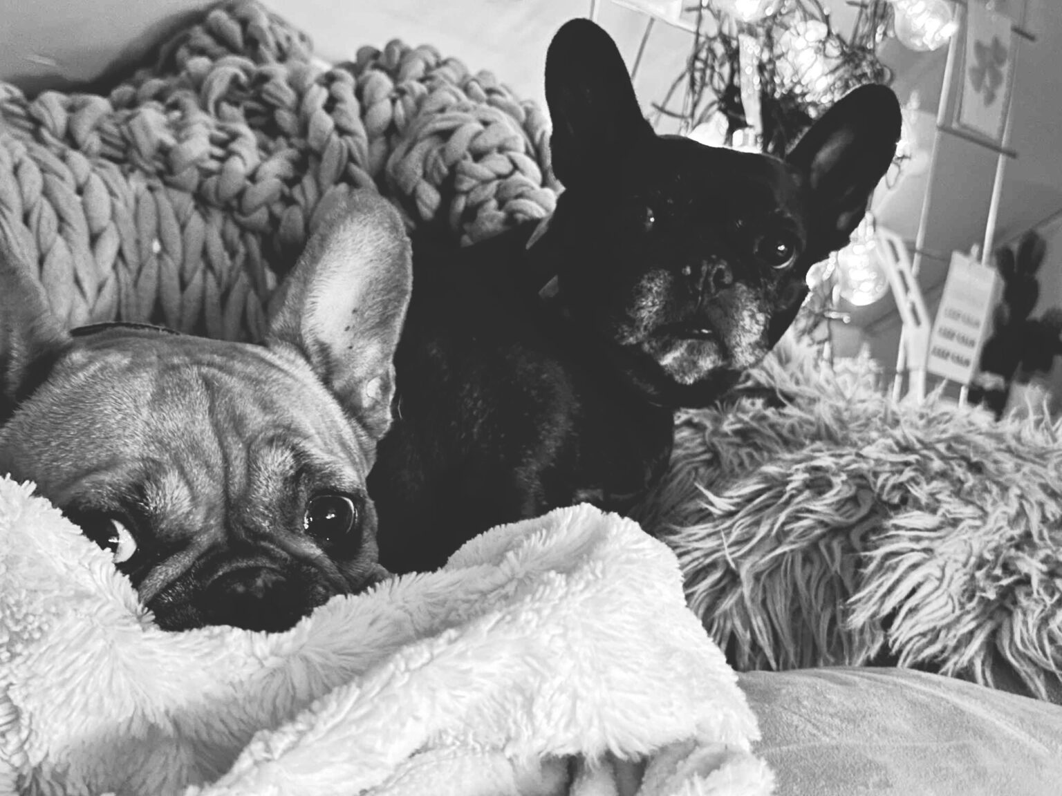 Ny blogg och nya möjligheter