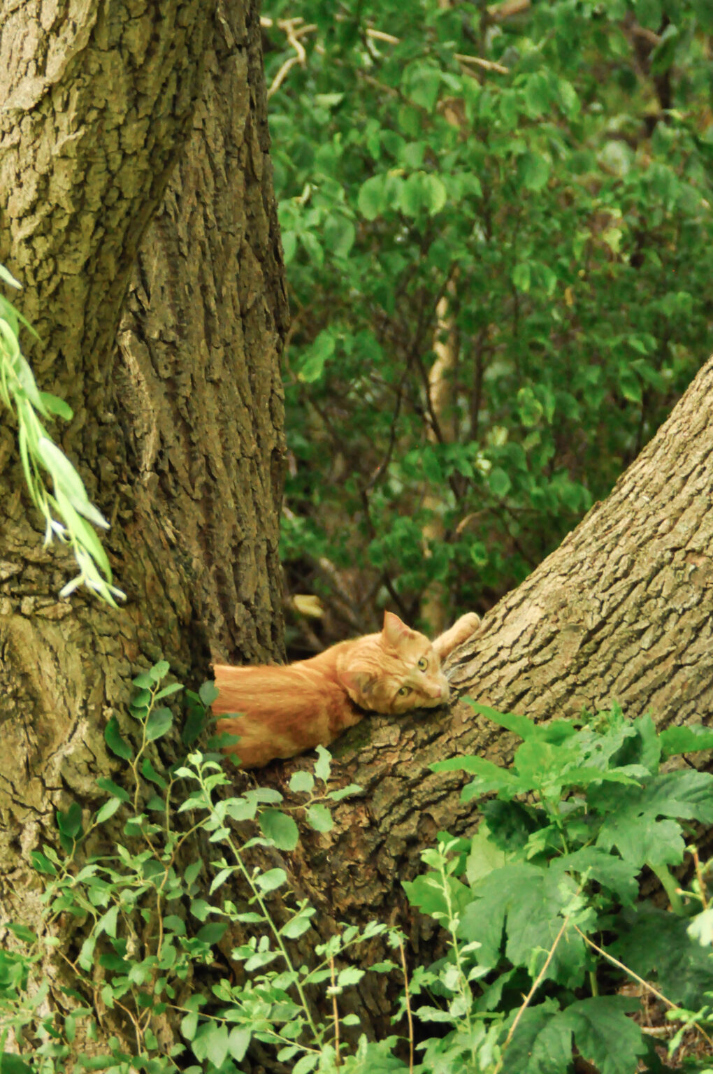 Nu avslutar vi denna månaden
