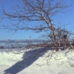 Massa spring i benen