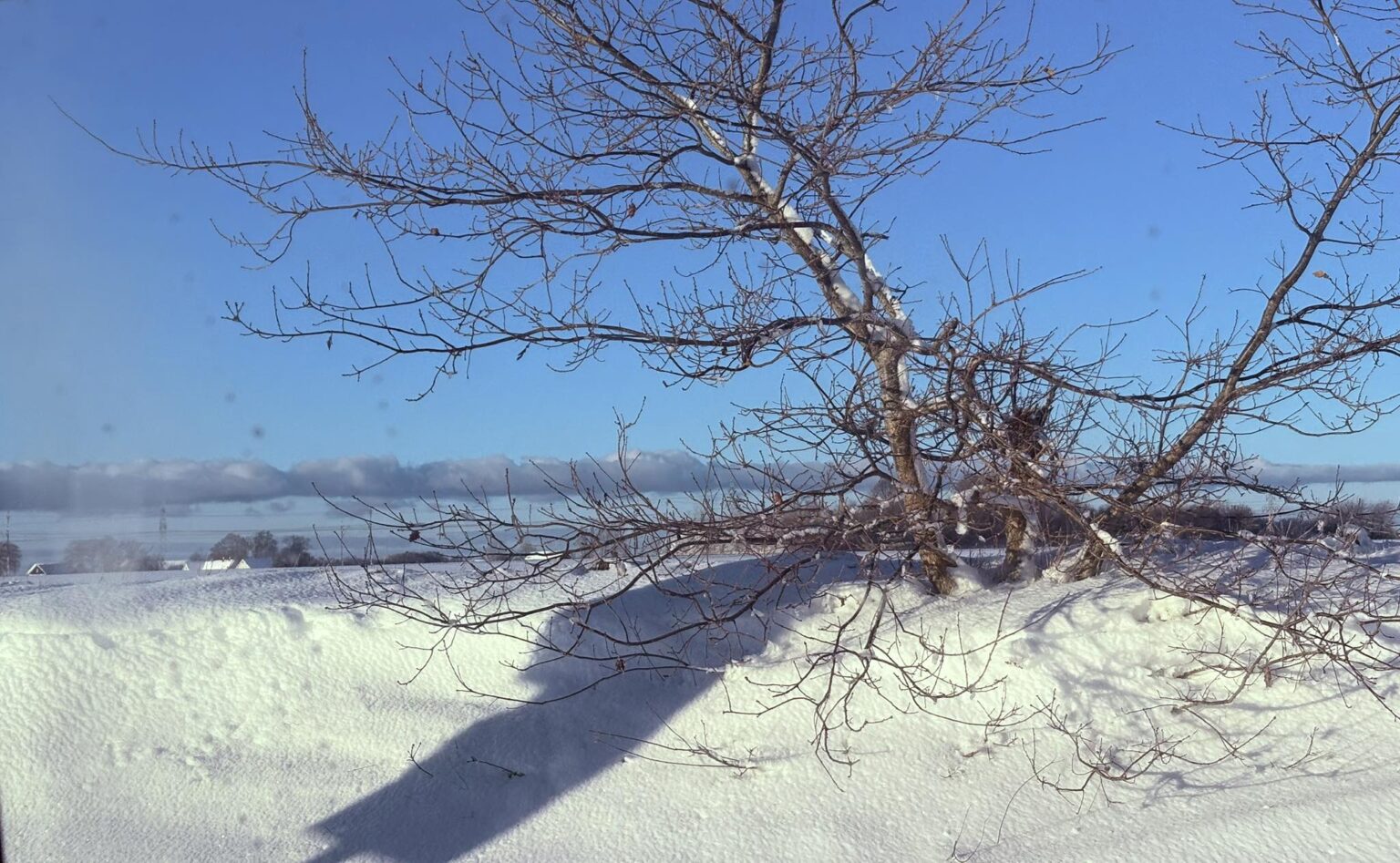 Massa spring i benen