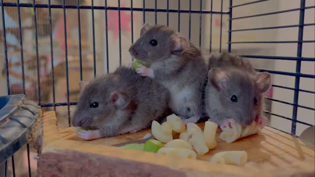 Pojkarna från Winterkullen ❤️